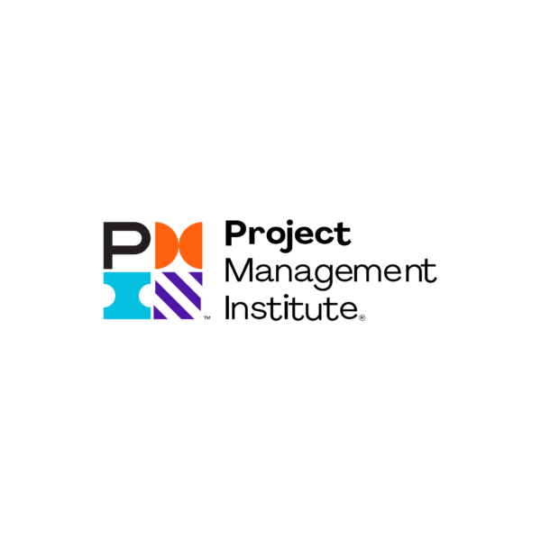 Assistant IT Project Manager
